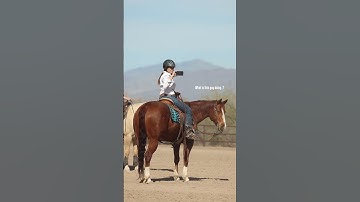 Is this what all of you think? Be honest. #reining #horsetrainingtips #reiningmasterclass