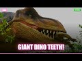 Dino Teeth: HUGE Chompers! #Shorts