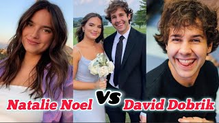 Natalie Noel Vs David Dobrik Lifestyle, Relationship, Biography, Age, Height, Weight, Net Worth 2024