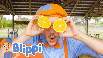 Blippi Visits an Orange Farm! Sink or Float Fun! | Blippi - Educational Videos For Kids