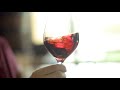Zeni Wine Tasting Fausto And Federica Zeni Taste The Costalago Rosso Veronese Zeni Wine Tasting Fausto And Federica Zeni Taste The Costalago Rosso Veronese