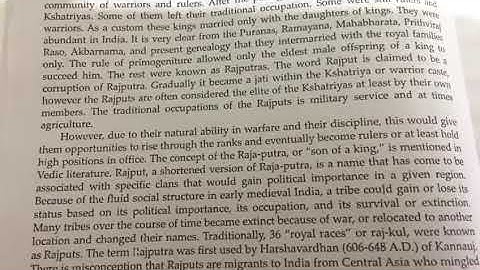 Describe the different theories regarding the origin of the Rajputs.||du sol 2nd year history||