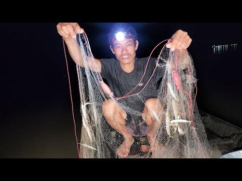 Video Ra Sông Giăng Lưới Cá Lìm Kìm Cùng Anh Em Mình Nào |... - youtube