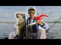This BIG bait was calling all the fish! 6th Sense Magnum Catwalk