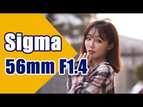 시그마56mm F1.4 DC DN(소니용크롭화각의 인물사진렌즈)