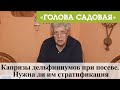 Голова садовая - Капризы дельфиниумов при посеве. Нужна ли им стратификация