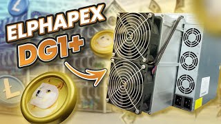 New BEST Dogecoin Miner for 2024 - Elphapex DG 1 PLUS Review & Profits!