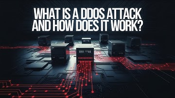 What is a DDoS Attack and How Does It Work?