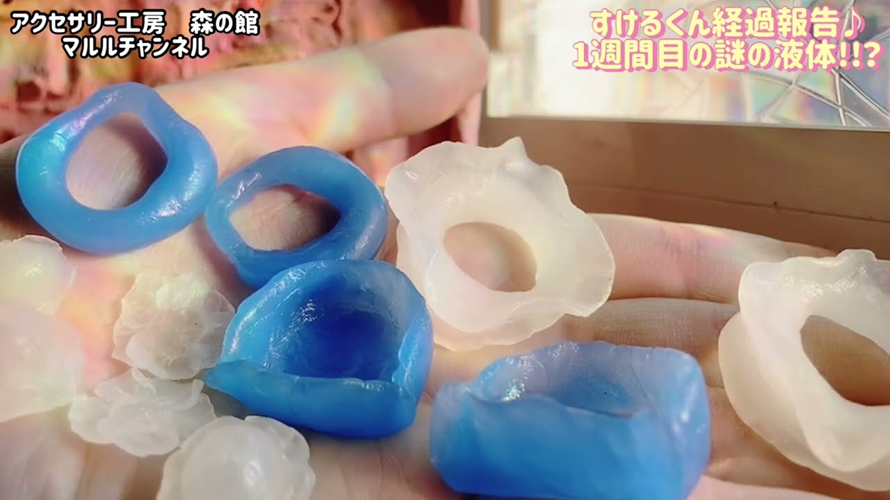 アクセサリー工房】すけるくん経過報告♪1週間目!!謎の液体!!？ - YouTube