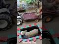 DIY Mini Water Pump and Tractor |science and technology #cartoon #ytshorts #yt #tractor #animals