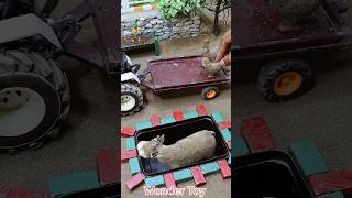 DIY Mini Water Pump and Tractor |science and technology #cartoon #ytshorts #yt #tractor #animals