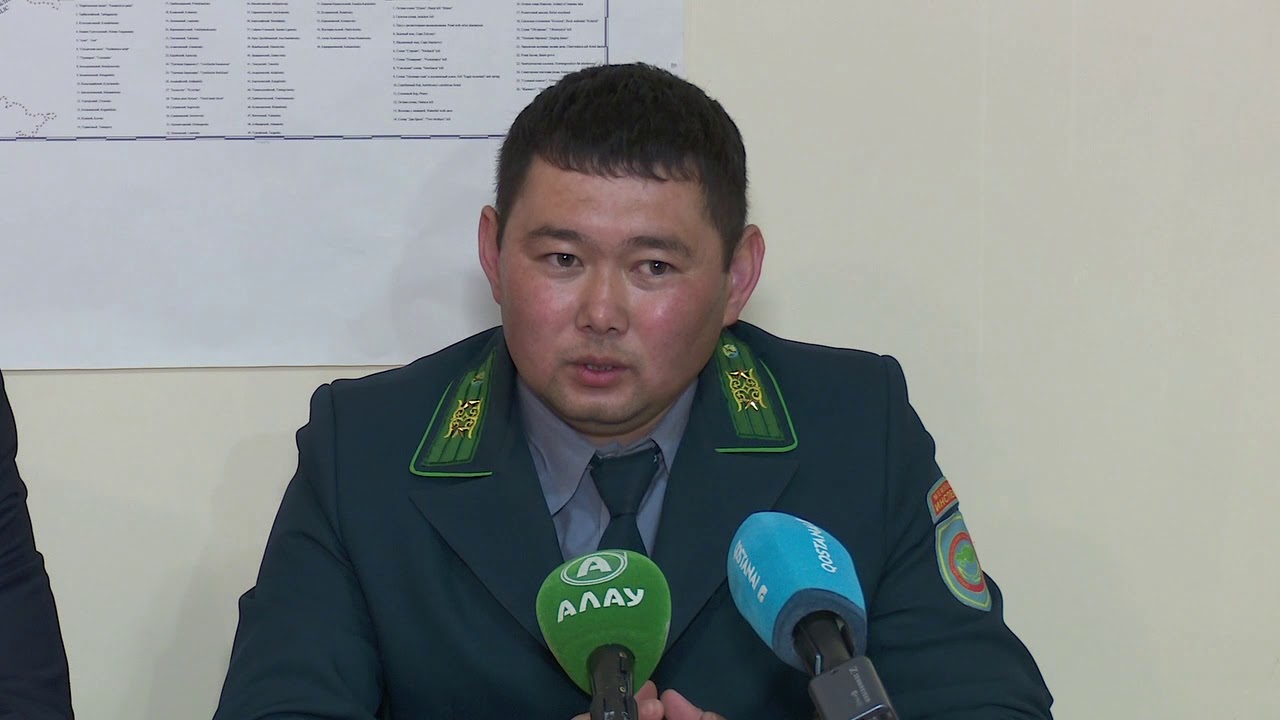 главные новости алау. алау костанай сегодня. телерадиокомпания алау. управление ветеринарии костанайской области. алау костанай сегодня.