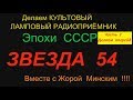 ЗВЕЗДА 54 . Часть 2 . Реставрируем вместе с Жорой Минским !