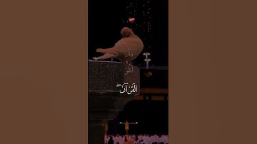 #Sūrāh An-Naml# سورة النمل #The Ant