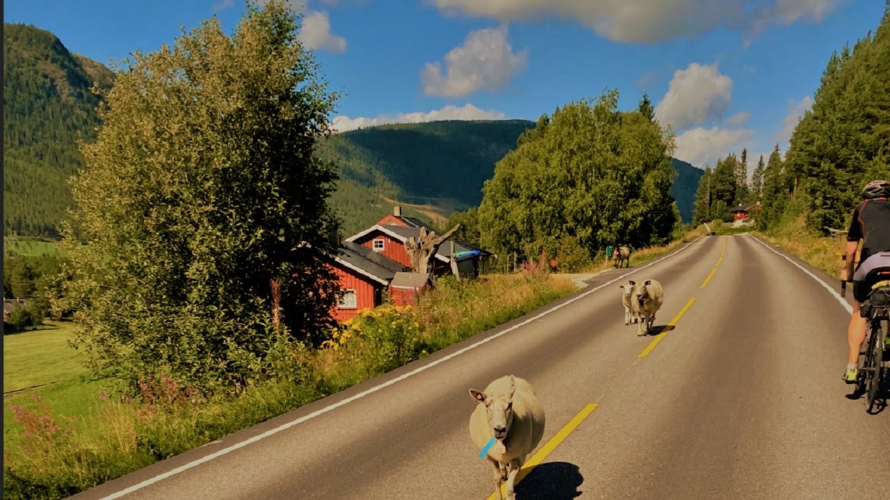 mit dem fahrrad zum nordkap route