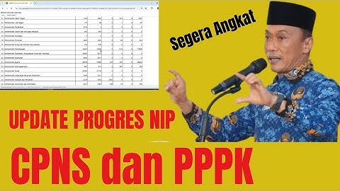 Update progres penetapan NIP CPNS dan PPPK