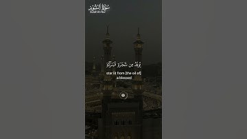 #سورة_النور ||حالات واتس قرآن ||القارئ#محمد_صديق_المنشاوي #تلاوة_هادئة #المصحف