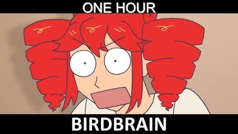 BIRDBRAIN [1 HOUR LOOP]