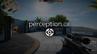 cs2 legit cheating ft. perception.cx