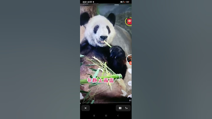 丫丫和奶爸 #animal #yaya #熊貓 - 天天要聞