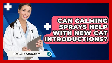Can Calming Sprays Help With New Cat Introductions? - PetGuide360.com