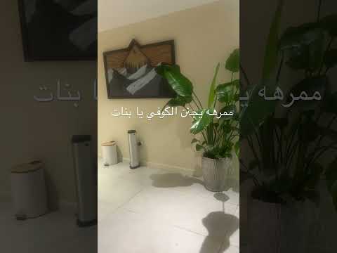 كيوت مره وفي اماكن حلوه انصحكم روحوا له