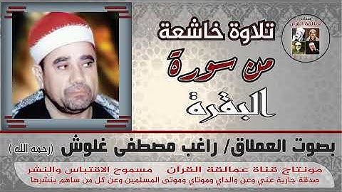 جمال التلاوة يعلوه جمال الصوت للعملاق راغب مصطفى غلوش لما تيسر من سورة البقرة