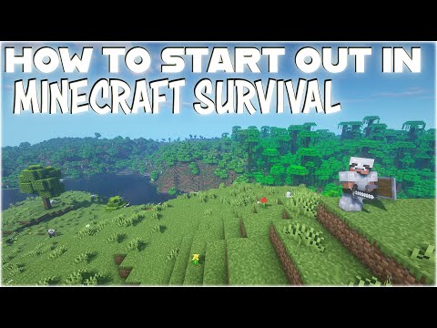 How to start out in Minecraft Survival - A Complete Guide