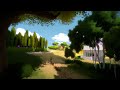 The witness 2