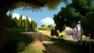 The Witness #2