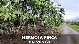 Finca en Venta - La Troncal