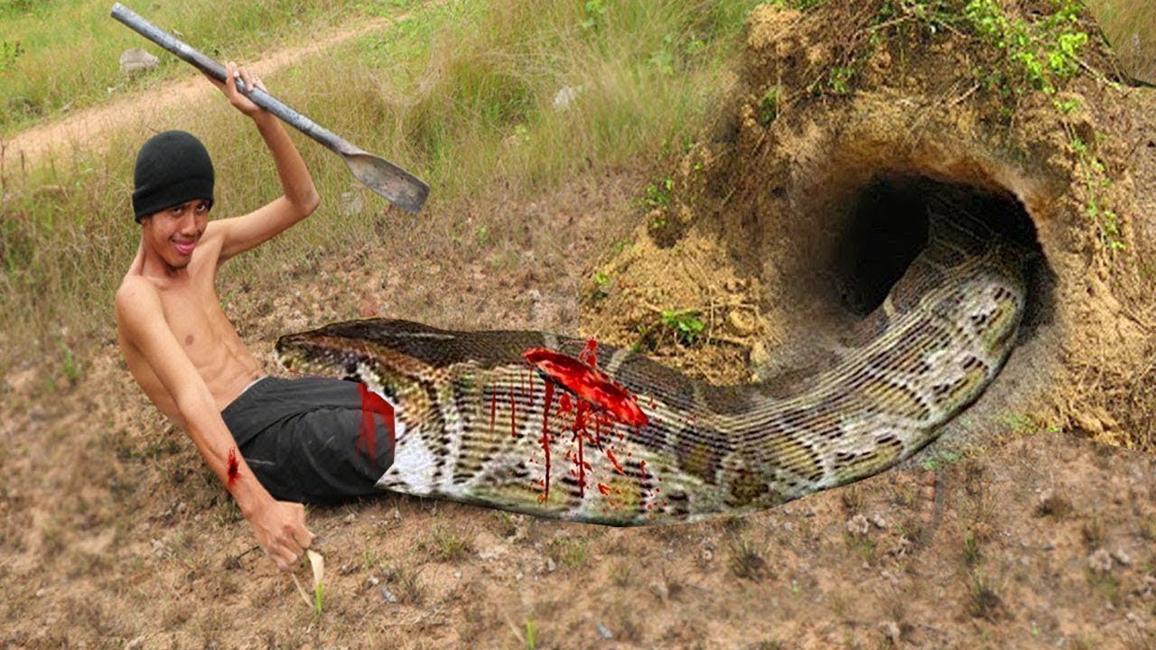 Primitive technology - Easy Snake Trap Using​ Wood Cutting Tools Catch Big Snake in Hole 
