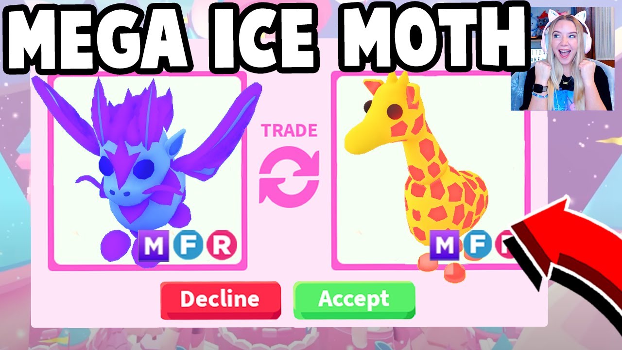 seeing offers for my mega ice moth dragon｜TikTok Search