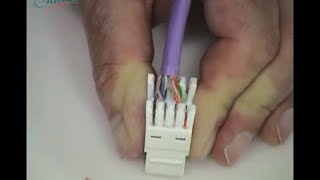 Giganet 180 Degree Cat6 U/UTP Module Termination