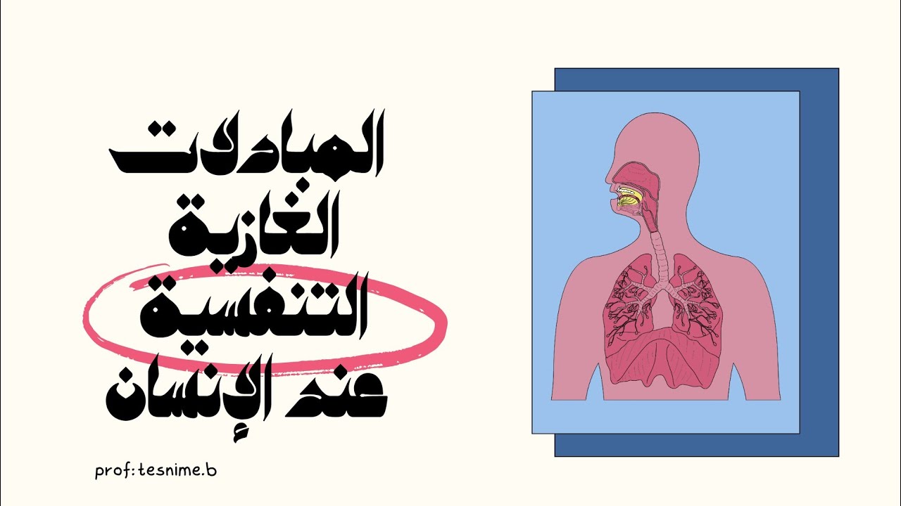 درس المبادلات الغازية التنفسية عند الإنسان للسنة الأولى متوسط ،، أسهل شرح 🫁