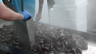 Mejillonada de Lorbe, 1* fin de semana de agosto