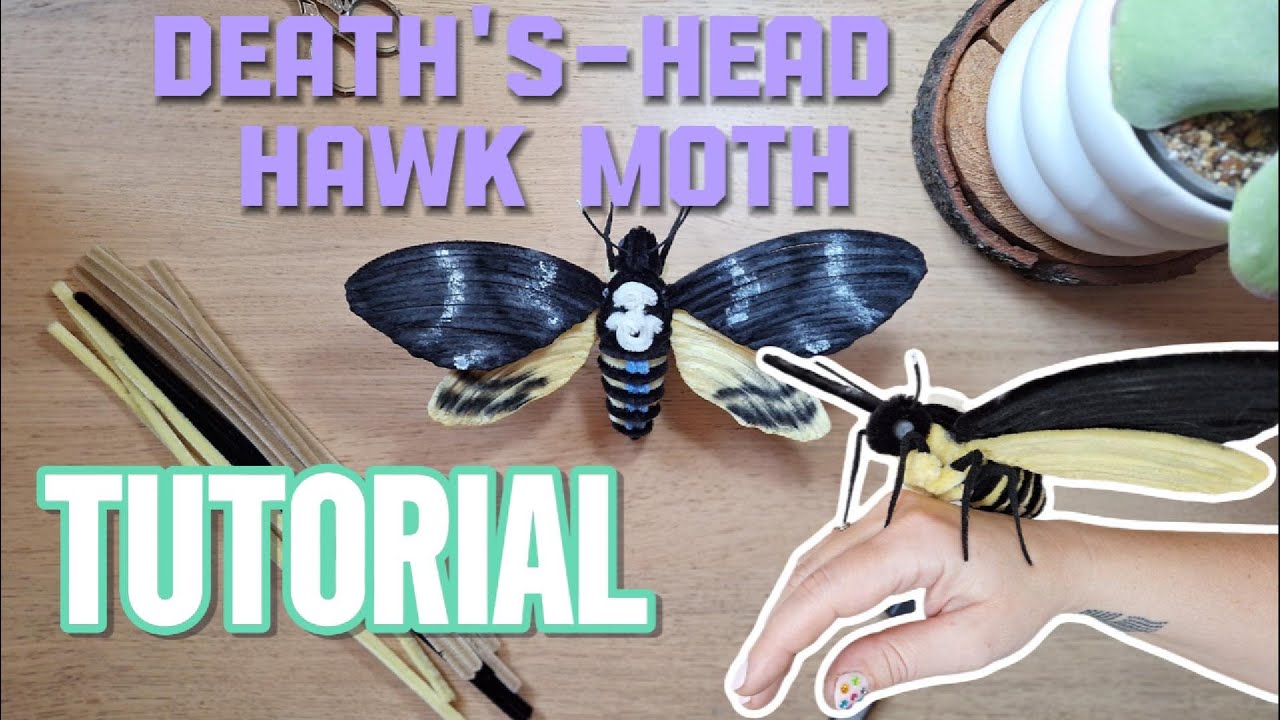 Death's-Head Hawk Moth - Realistic Pipe Cleaner Tutorial (Step-by-Step)