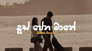 Download lagu Waha - ( Slowed Reverb )