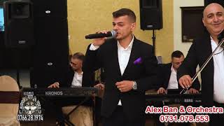 Alex Ban Orchestra Colaj Muzica De Petrecere Live 2024 