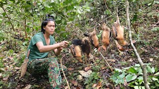 200 Days in the Wild, Wild Boar, Wild Chicken, Wild Hunting, Wild Farm, Green forest life, survival