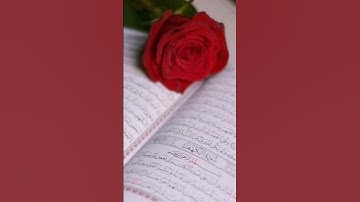 قرآن كريم تلاوة رائعه بصوت القارئ مشاري راشد Quran# 💚☘️