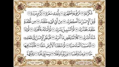 قناة أبوأســـيد أبوالرُّب    {}{ 80 - سورة عبس بصوت الشيخ حسن الصالح جزاه الله خيرا }{}