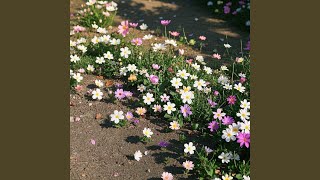 Menatap Bintang Bertaburan