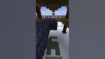 PLACING 100 WARPED HYPHAE 🎧 Satisfying ASMR Placing & Breaking Blocks in Minecraft #minecraft