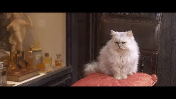 黒木瞳主演、映画『魔女の香水』予告編【2023年6月16日公開】