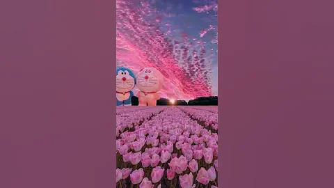 the beautiful