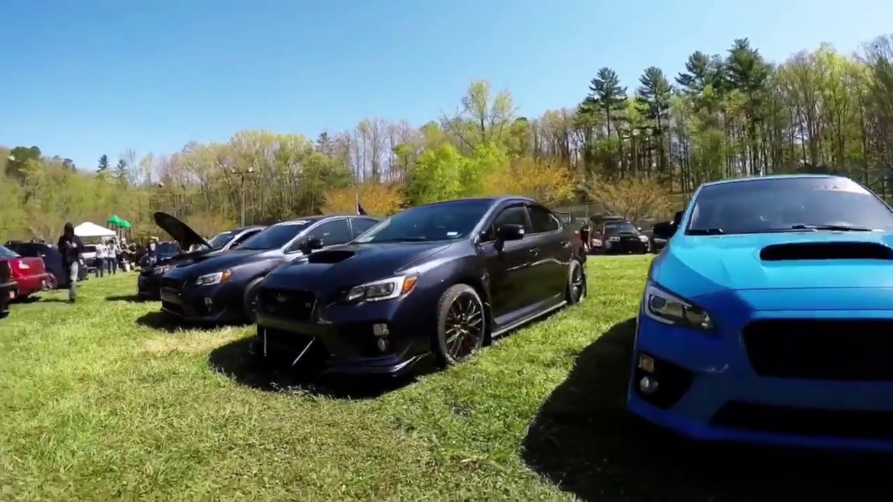 Annual Boxer Takeover 2018 - YouTube