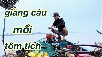 Giăng Câu Đường Mồi Tôm Tích - Bắt Cá Ngát Cá Sửu @Xuanthuong91