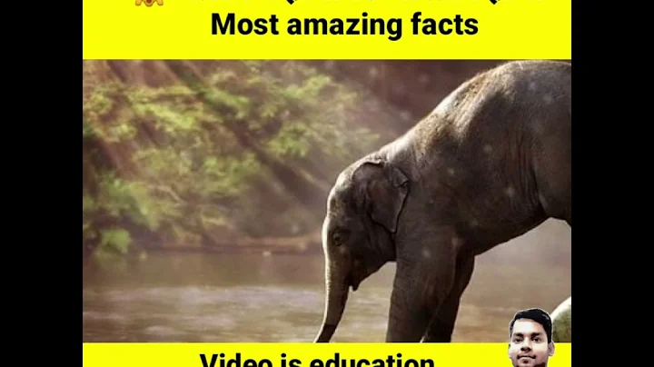 अफ्रीकन हाथी vs भारतीय हाथी 😱 African elephant vs indian elephant | most amazing facts | #shorts