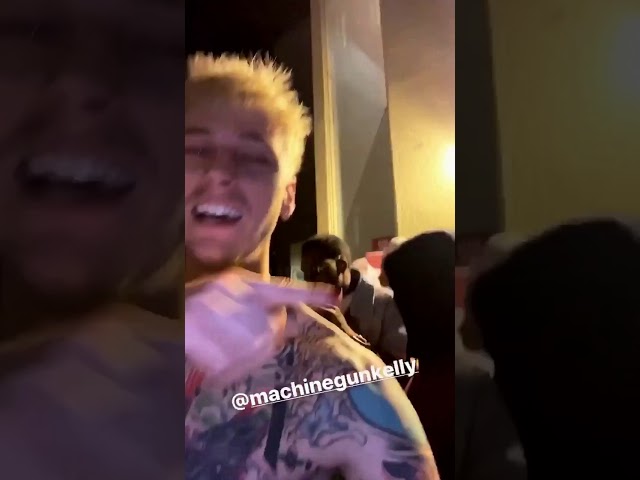 Jake Paul stories November 21, 2019